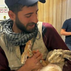 Diyarbakır'da yaralı tavşanı hastaneye g&ouml;t&uuml;rd&uuml;