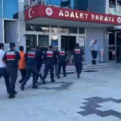 16 ilde 22 ayrı organize su&ccedil; &ouml;rg&uuml;t&uuml;ne operasyon: 228 g&ouml;zaltı
