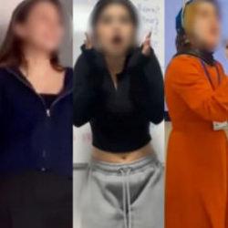 Kamu g&ouml;revlisinin sosyal medya sınavı: Dijital &ccedil;ağda devleti temsil etmenin sorumluluğu