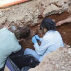 Yol &ccedil;alışmasında şoke eden g&ouml;r&uuml;nt&uuml;! Asfaltın altından iskelet &ccedil;ıktı