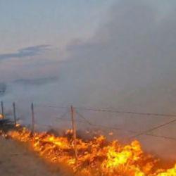 Ankara'da ş&uuml;phelinin &ccedil;akmakla otları tutuşturduğu anlar ortaya &ccedil;ıktı