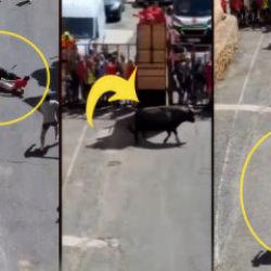 Şaka gibi başlayan olay kanlı bitti! Boğa affetmedi...