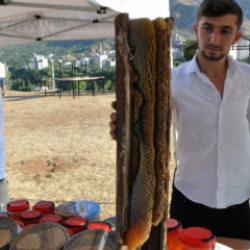 Batman'da ağa&ccedil; kovuğunda &ccedil;ıkartıldı! Kilogram fiyatı &ccedil;eyrek altını ge&ccedil;ti 