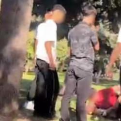 Parkta akran dehşeti: 17 yaşındaki &ccedil;ocuğu d&ouml;v&uuml;p videosunu ailesine g&ouml;nderdiler