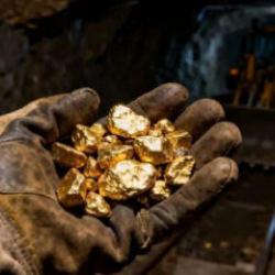 700 kilo altın bulup iki u&ccedil;ak almıştı: Madencinin son hali şaşırttı 