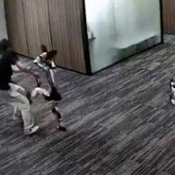  &Ccedil;in&rsquo;de insansı robot geliştiricisine saldırdı