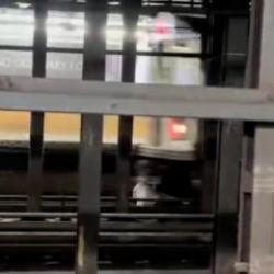 New york metrosunda dehşet anları: Arkadaşını kurtarmak isterken can verdi