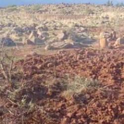 Koruma altındaki b&ouml;lgede izinsiz ara&ccedil; kullandı: Cezası ağır oldu