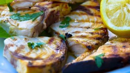 Palamut balığı nasıl pişirilir? Palamut balığının tavada ve fırında tarifi