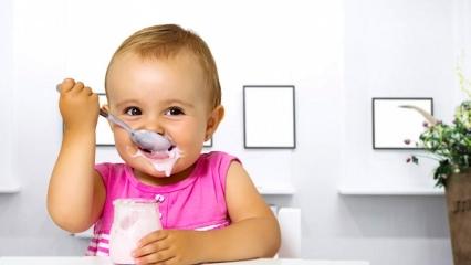 bebeklere yogurt ne zaman verilir 6 aylik bebege yogurt nasil verilir bebek haberleri