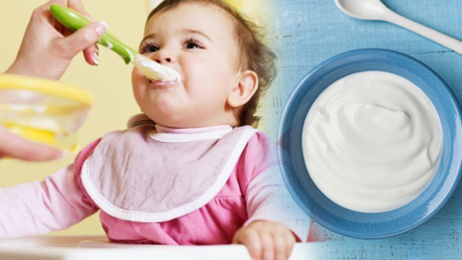 Bebeklere yoğurt nasıl yapılır? Bebekler için ev yapımı meyveli yoğurt tarifleri