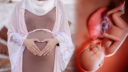 Hamilelikte bebeğin sağlıklı olması için okunacak dualar ve esmaül hüsna zikirleri