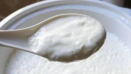 Yoğurt mayalamanın kolay yolu nedir? Evde taş gibi yoğurt yapımı! Ev yoğurdunun faydası