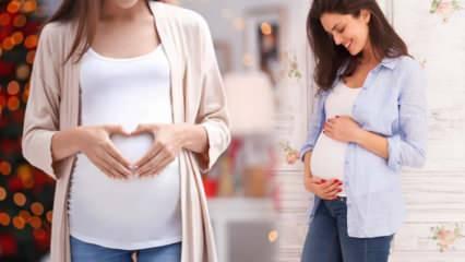 Yumurtlama dönemi nedir? Hamile kalmak için ne zaman ilişkiye girilmeli?
