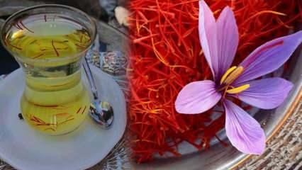 Safran çiçeğinin faydaları nelerdir? Safran çiçeği çayı ne işe yarar? 
