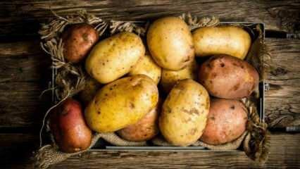Patatesin çürüdüğü nasıl anlaşılır? Patatesin çürümesi nasıl engellenir