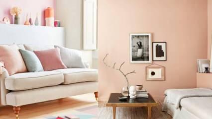 Somon rengi ile yapılabilecek ev dekorasyonu önerileri