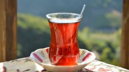Çayın kaliteli olduğu nasıl anlaşılır? Çayın kaliteli olduğunu anlamanın yolları