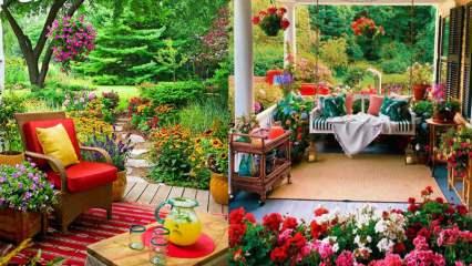 Sonbahar çiçekleri nelerdir? Sonbaharda bahçe ve balkon dekorasyonu nasıl yapılır?