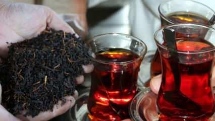 Seylon çayı nedir ve seylan çayı nasıl demlenir? Seylan çayı faydaları