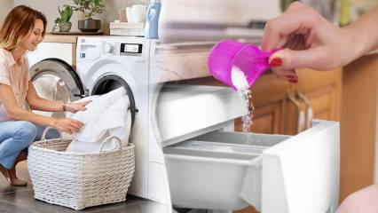 Beyazlar için en iyi deterjan hangisidir?En iyi çamaşır deterjanı önerileri!En iyi toz deterjan
