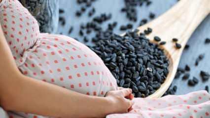 Hamilelikte çörek otunun faydaları nelerdir? Hamilelikte çörek otu ne zaman tüketilmeli?