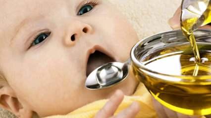 Zeytinyağının bebeklere faydaları nelerdir? 6 aydan sonra bebeklere neden zeytinyağı verilir?