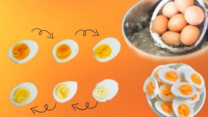 Yumurta nasıl haşlanır? Yumurta haşlama süreleri! Rafadan yumurta kaç dakika kaynar?