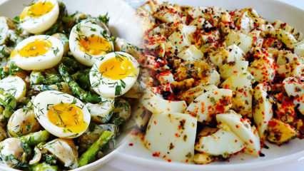 Yumurta salatası nasıl yapılır? Bol vitaminli yumurta salatası tarifi
