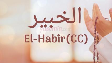 El-Habir (c.c) ne demektir? El-Habir isminin faziletleri nelerdir? Esmaül Hüsna El-Habir...