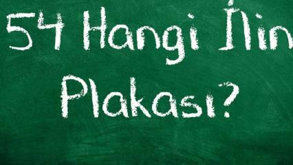 54 nerenin plakası? 54 plakası hangi şehrindir? Sakarya ilçe plaka harfleri nedir?