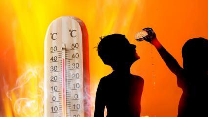 El Nino etkisi nedir? El Nino tehlikesi nedir? Türkiye