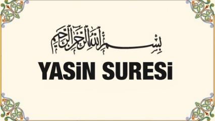 Nuh Suresi Faziletleri Nelerdir Nuh Suresi Arapca Okunusu Ve Turkce Anlami Yasam Haberleri