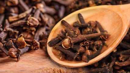 Karanfilin çayının faydaları nelerdir? Karanfil çiğnemenin ağız sağlığına faydaları...