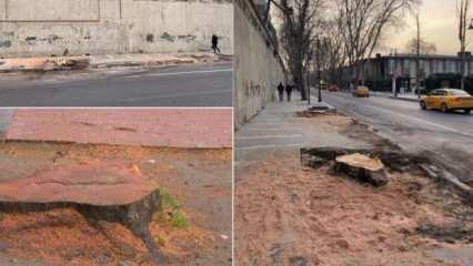 İBB ağa&ccedil; kesimi i&ccedil;in izin bile almamış!