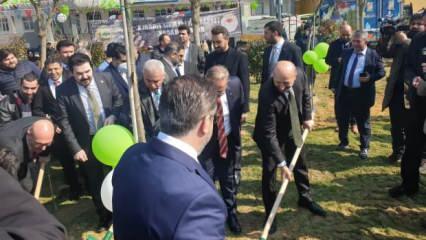 AK Parti İstanbul İl Başkanlığı okul bah&ccedil;esine 112 &ccedil;ınar fidanı dikti