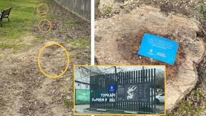 İBB bu kez de Topkapı'da onlarca ağacı kesti