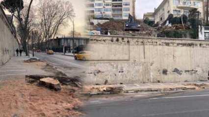 İBB hukuksuzca ağa&ccedil;ları kesmişti! Ağa&ccedil;lar tedavi edilebilirmiş