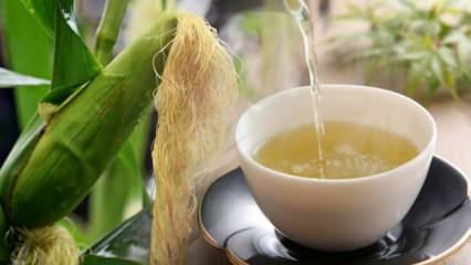Mısır püskülü çayı faydaları nelerdir? Mısır püskülü ve kiraz sapı çayı zayıflatır mı?