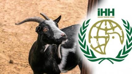 İHH kurban bağışı 2023 ne kadar? İHH kurban bağış fiyatları açıklandı!
