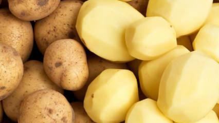 Soyulmuş patatesin kararmasını önlemek için neler yapmalısınız?