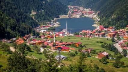 Uzungöl'e otopark ve ring sistemi!