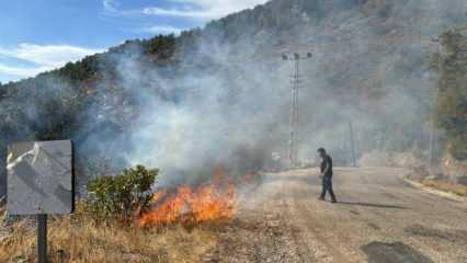 Son dakika: Antalya'da orman yangını! 