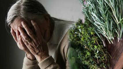 Biberiye ve adaçayındaki gizli bileşik Alzheimer tedavisinde umut vaat ediyor!