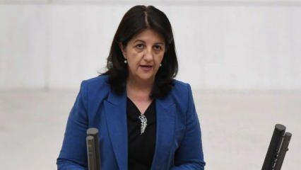 PKK'nın silah bırakma kararına direnenler olur mu? Pervin Buldan'dan net açıklama