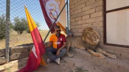 Evinde beslediği aslanlarla şampiyonluğu kutladı: Tekinin adı 'Fatih Terim'
