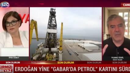 Karadeniz'deki doğalgaz keşfine de Gabar'daki petrol keşfine de aynı tutum! Dalga geçtiler