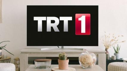 TRT1'den ardı ardına final kararı! Bir dizisi daha seyircisine elveda diyecek