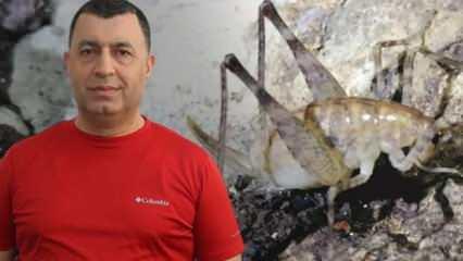 Diyarbakır'da bir fotoğrafla bulundu: Mağara dışında ona hayat yok