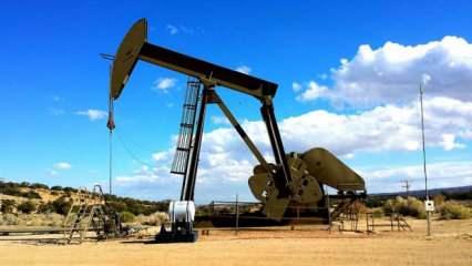 Brent petrolün varili 64,17 dolardan işlem görüyor